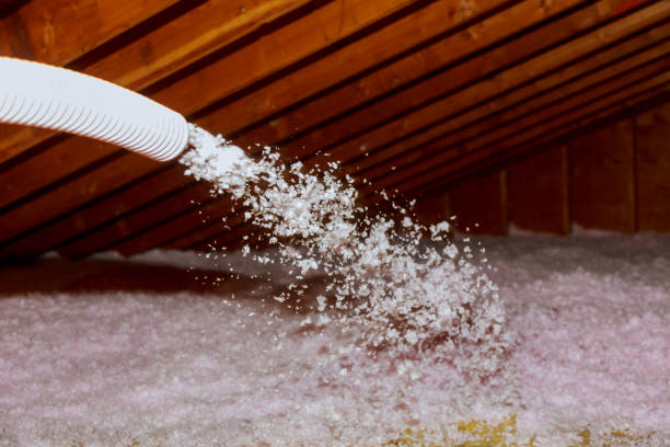 Best Energy-efficient Insulation  in Pantego, TX