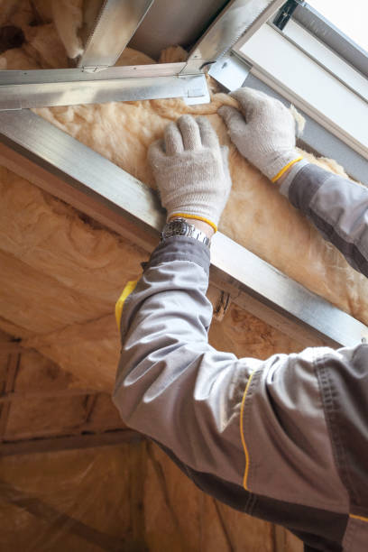 Best Best Insulation Companies  in Pantego, TX