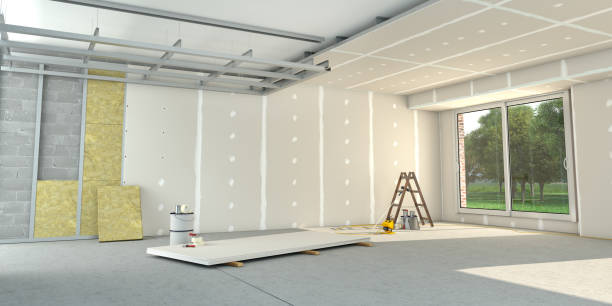 Best Insulation Removal  in Pantego, TX