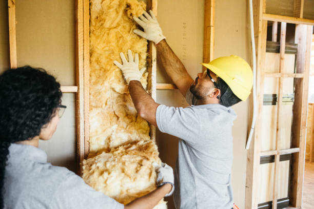 Best Fiberglass Insulation  in Pantego, TX
