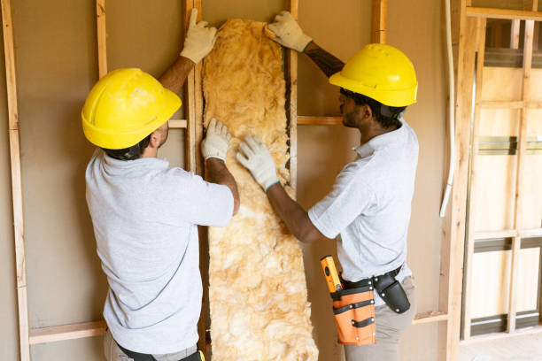 Best Insulation Removal  in Pantego, TX