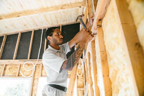 Best Residential Insulation Services  in Pantego, TX
