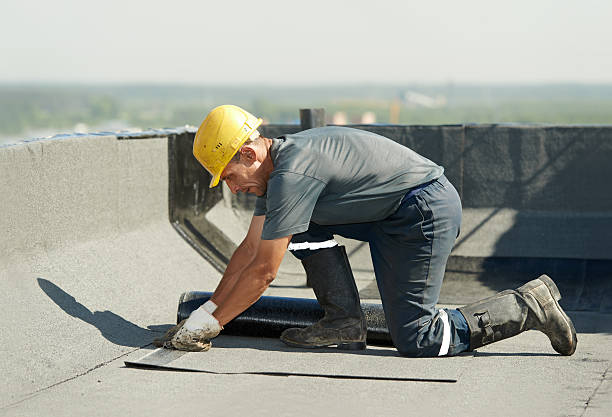 Best Wall Insulation Contractor  in Pantego, TX